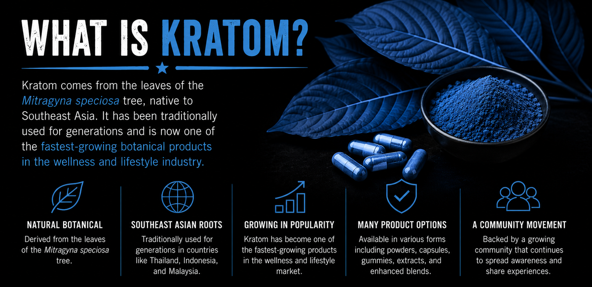 What Is Kratom? Effects, Alkaloids & How It Actually Works