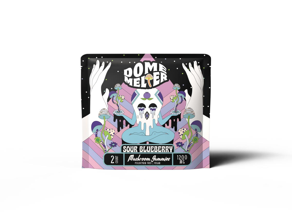 Dome Melter functional mushroom gummies 2-count pouch — Sour Blueberry