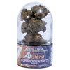 AI Blenz Solventless-Infused THCA Flower – 7G + 0.75G Pre-Roll