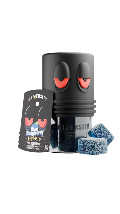 Trap University Live Rosin Gummies — Blue Raspberry, 20-count pouch