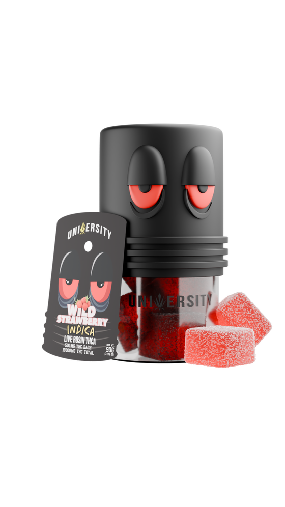 Trap University Live Rosin Gummies — Wild Strawberry, 20-count pouch
