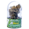 AI Blenz Solventless-Infused THCA Flower – 7G + 0.75G Pre-Roll