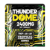 Thunderdome Ultra High Potency Gummies — Tropical Pineapple, 2-count 2400mg