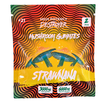 Destroyer Mushroom Gummies Strawnana 2-count pouch