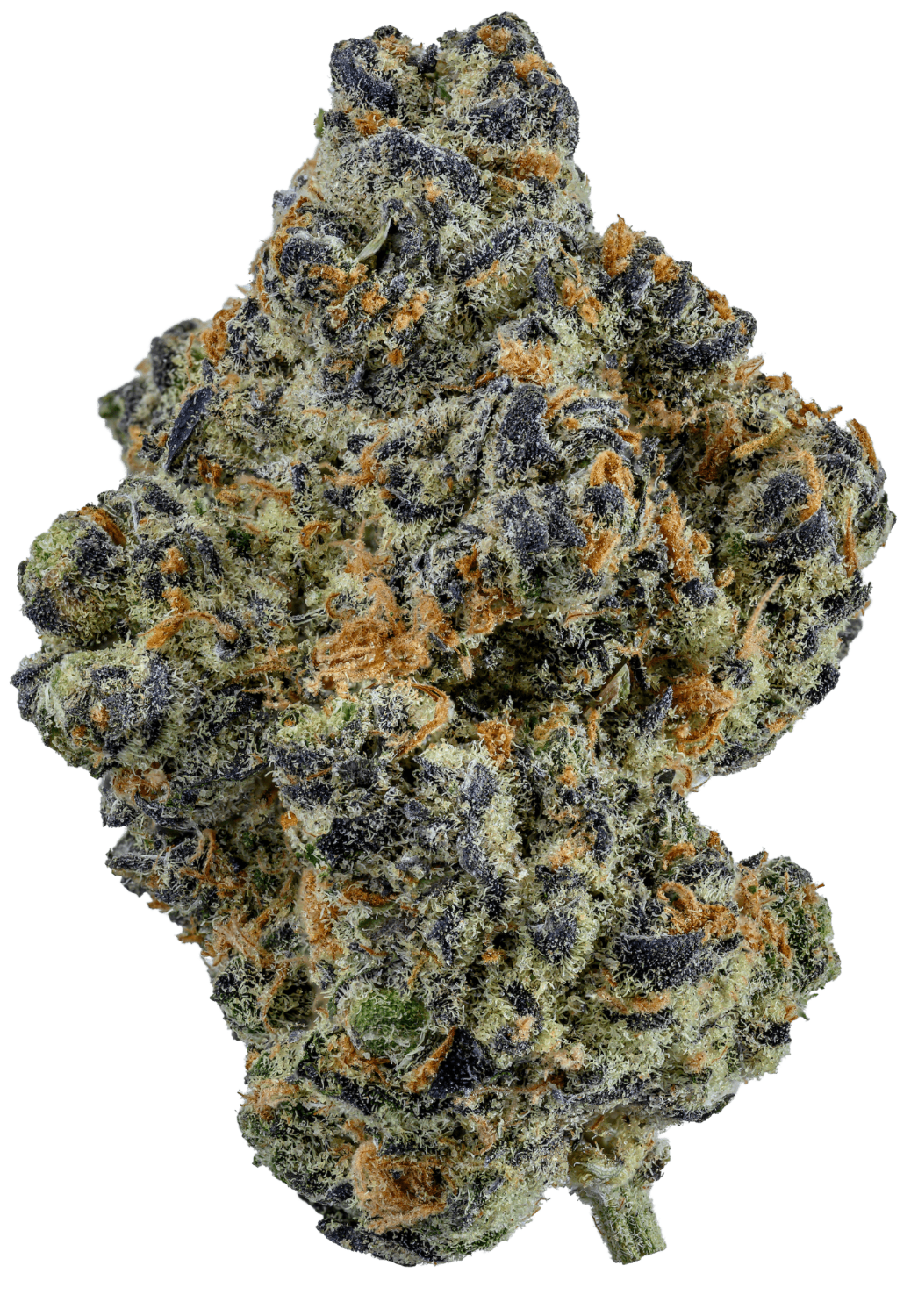 Spritz Sugarland 3.5g flower package